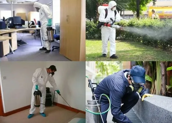 الرش ومكافحة الحشرات في رأس الخيمة